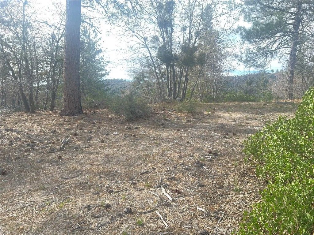Photo of 0 Hardy, Arrowbear, CA 92382 (MLS # OC26070450)