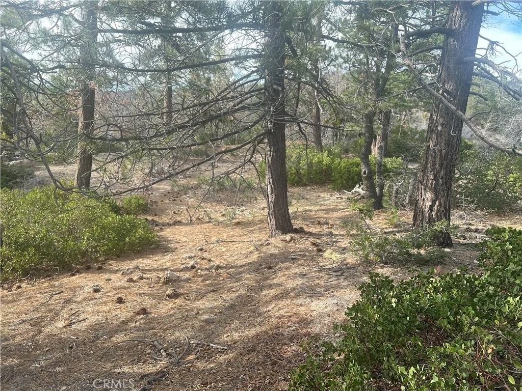 Photo of 0 Hardy, Arrowbear, CA 92382 (MLS # OC26070450)