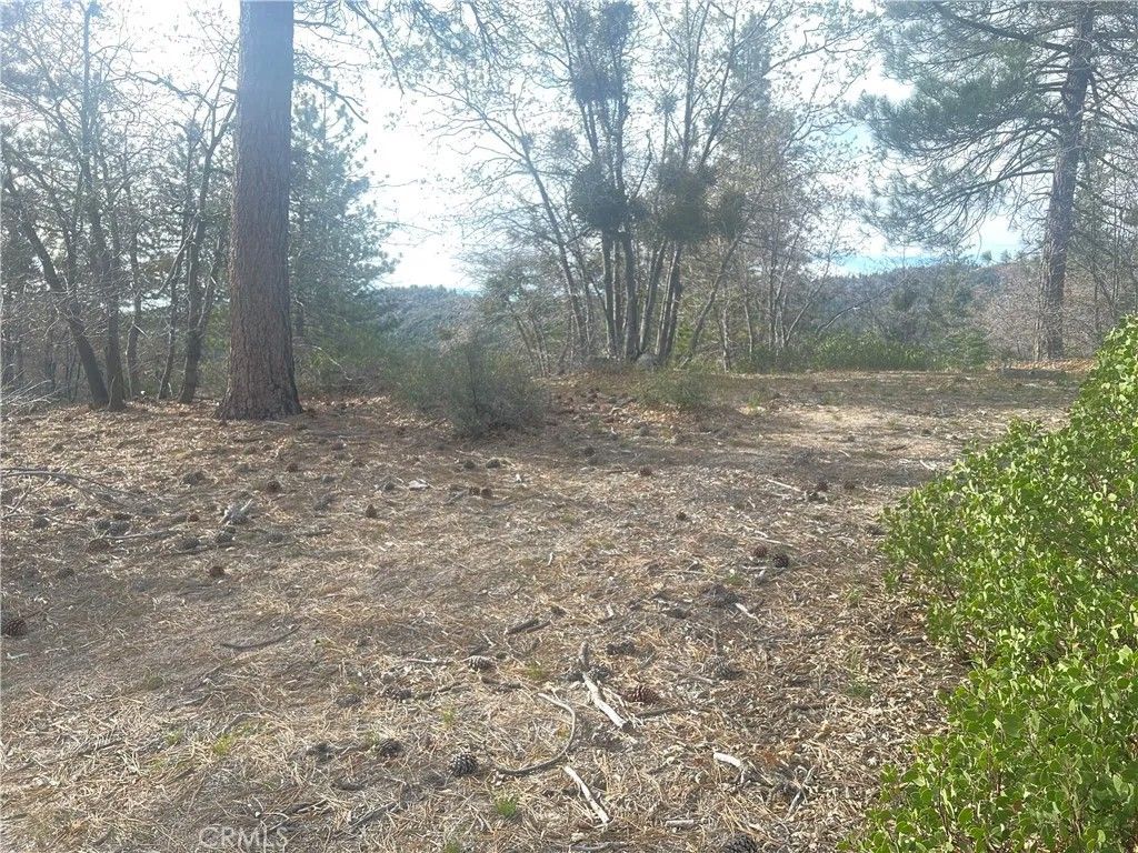 Photo of 0 Hardy, Arrowbear, CA 92382 (MLS # OC26070450)