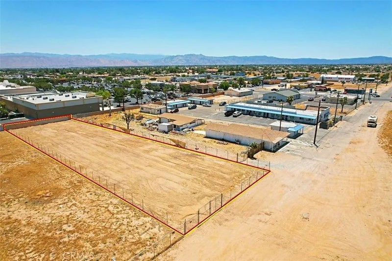 25 Tamarisk