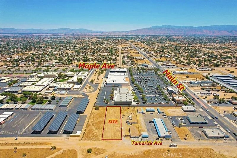 25 Tamarisk