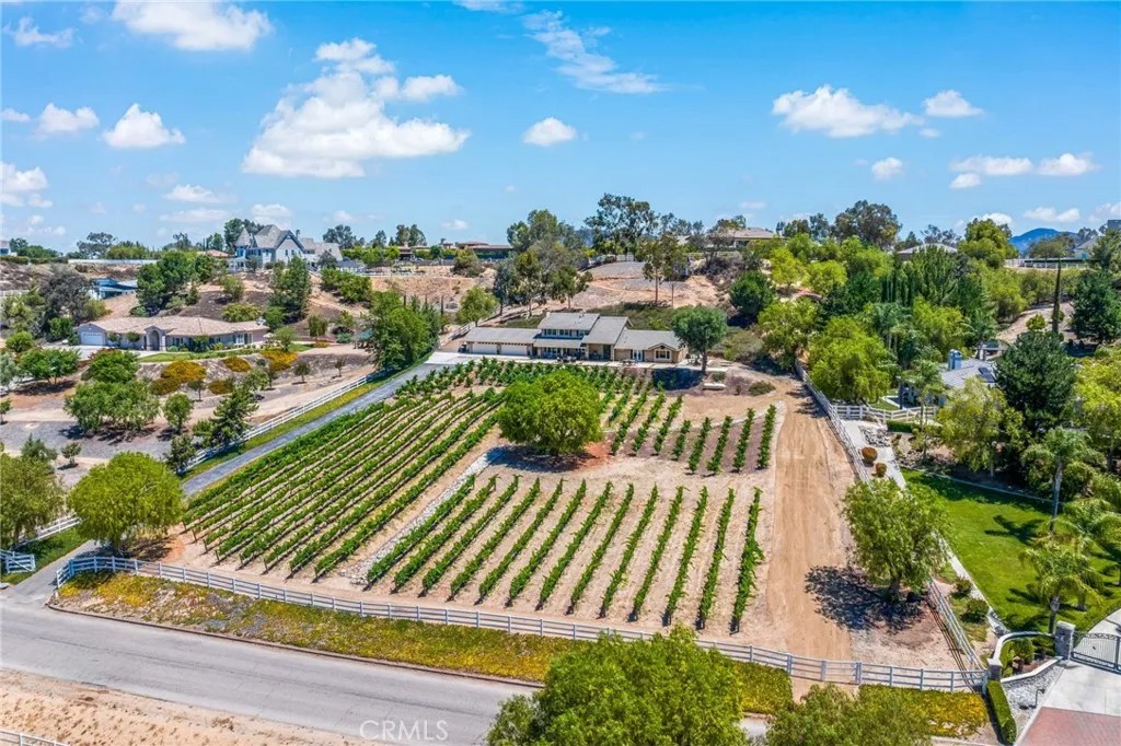 33612 Vino Way