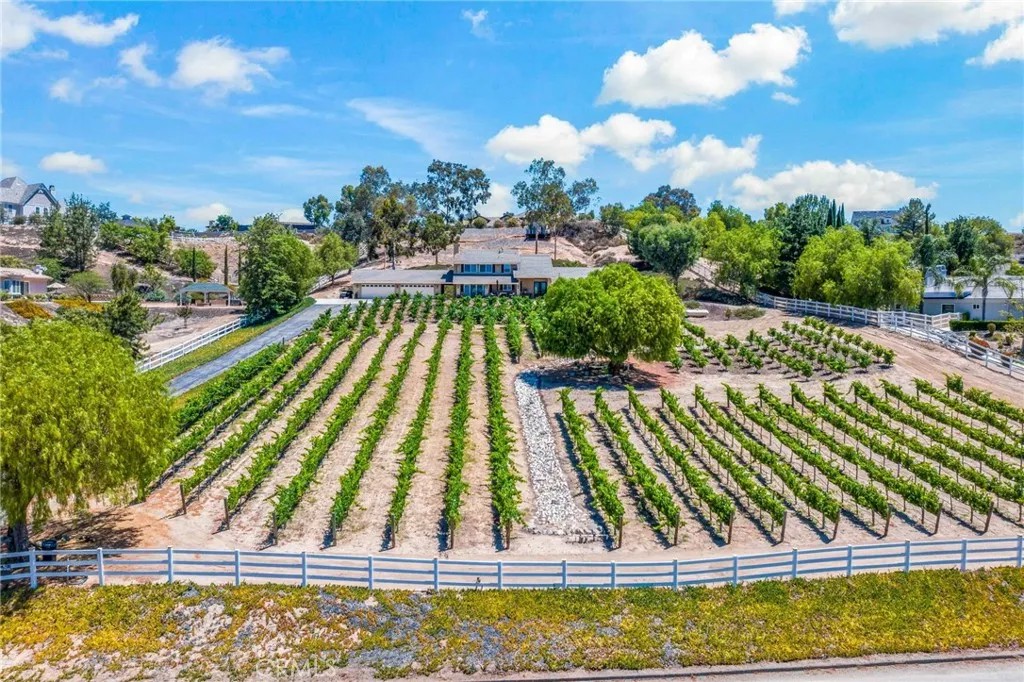 33612 Vino Way