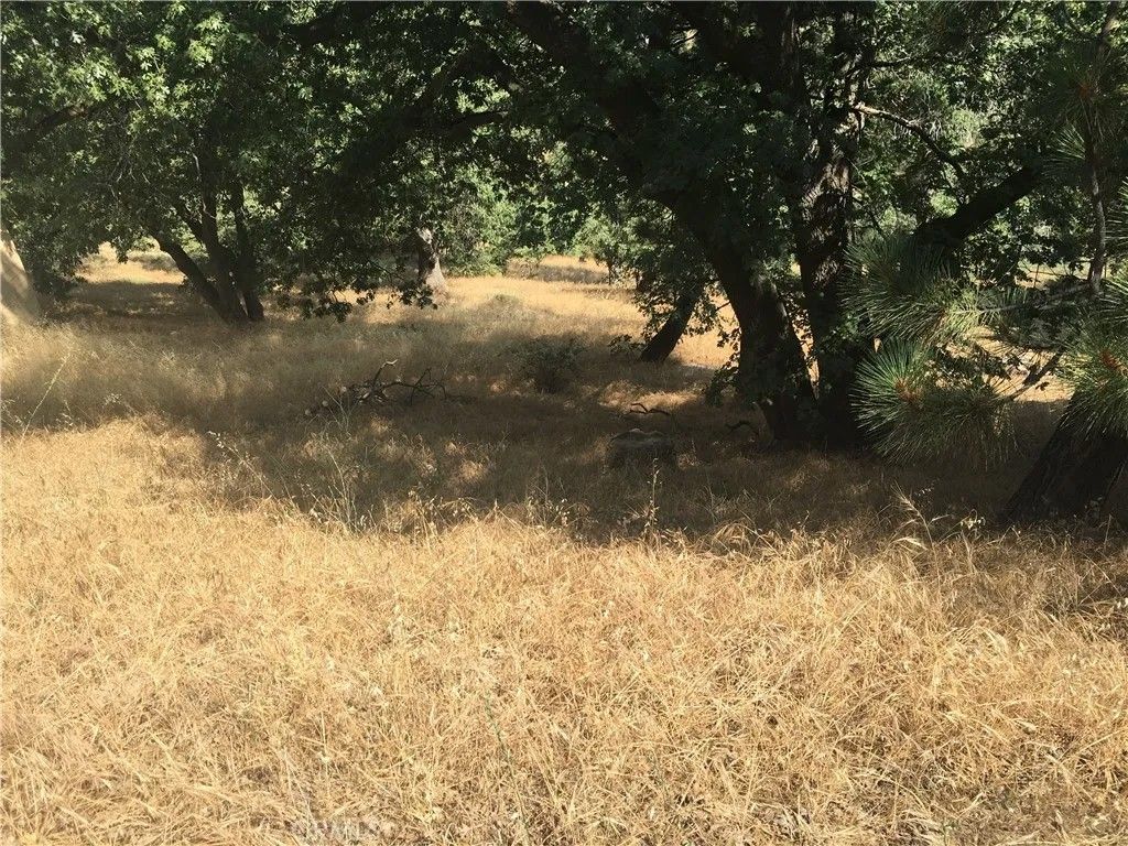 Photo of 30481 Live Oak Dr, Running Springs, CA 92382 (MLS # HD26034504)