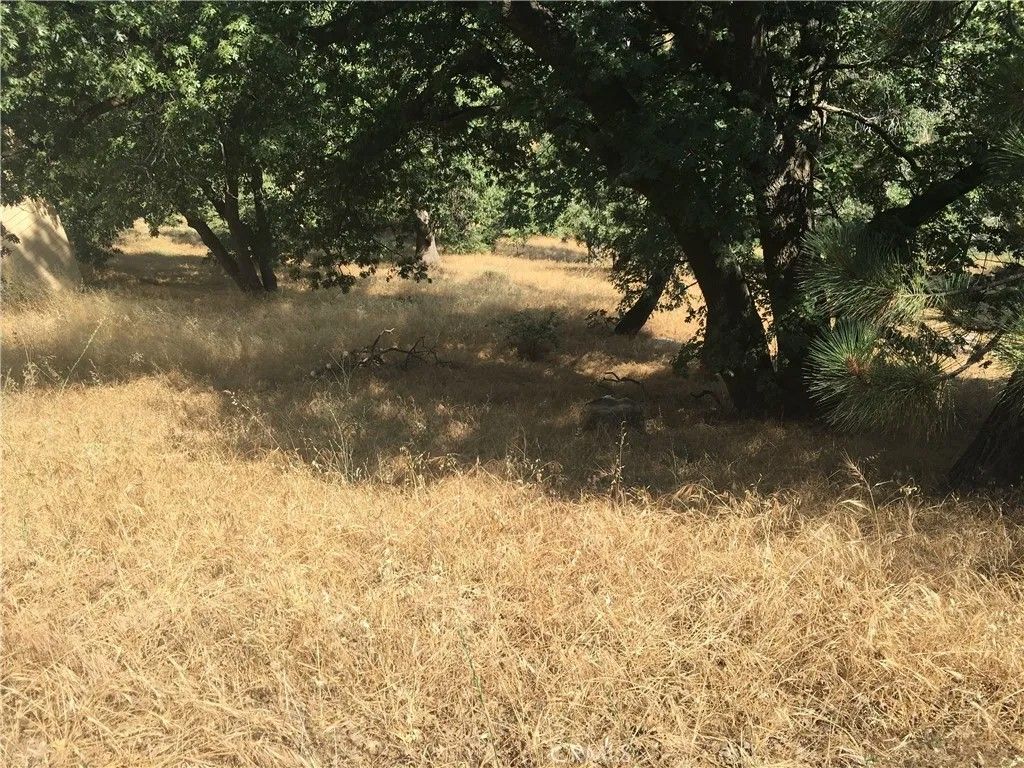 Photo of 30481 Live Oak Dr, Running Springs, CA 92382 (MLS # HD26034504)