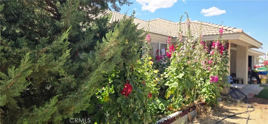 9562 Cambria Court