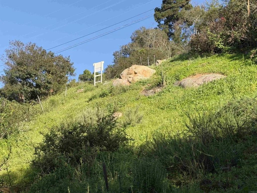 Photo of 9542 Ridgecrest, La Mesa, CA 91941 (MLS # PTP2601807)