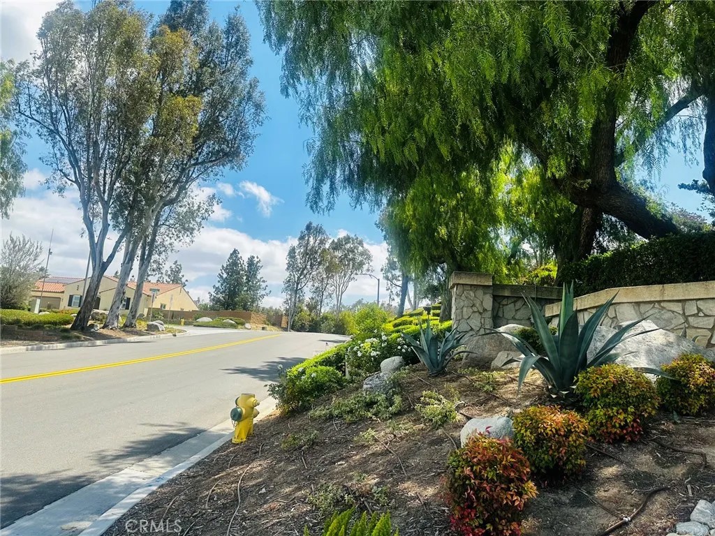11056 Orchard View Lane