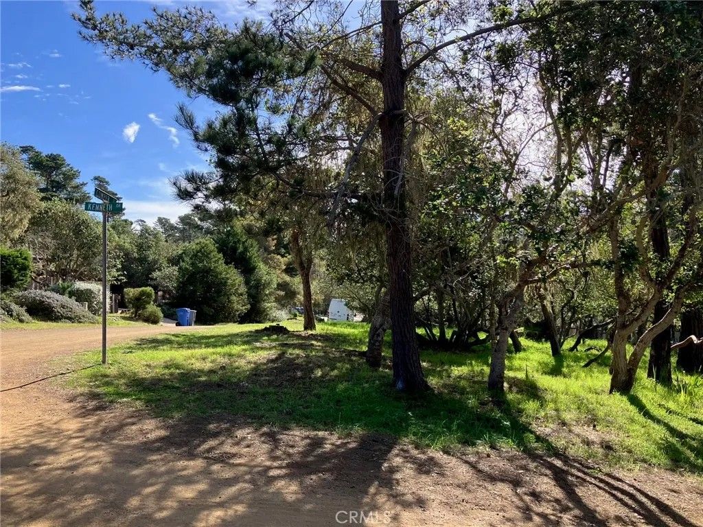 Photo of 0 Cowper Street, Cambria, CA 93428 (MLS # OC26023238)