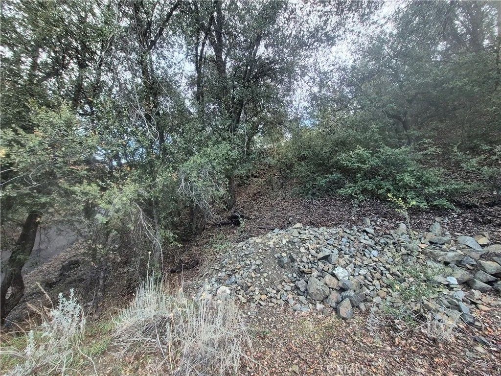 Photo of 15532 San Moritz, Pine Mountain Club, CA 93222 (MLS # SR26006510)