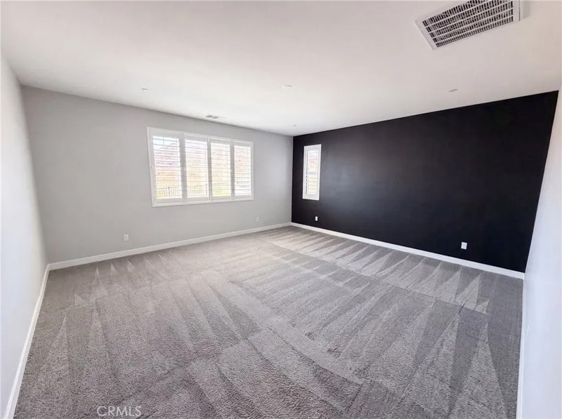 26315 Silver Birch