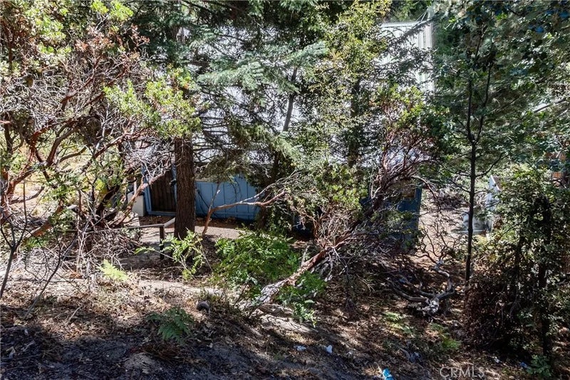 5895 Robin Oak