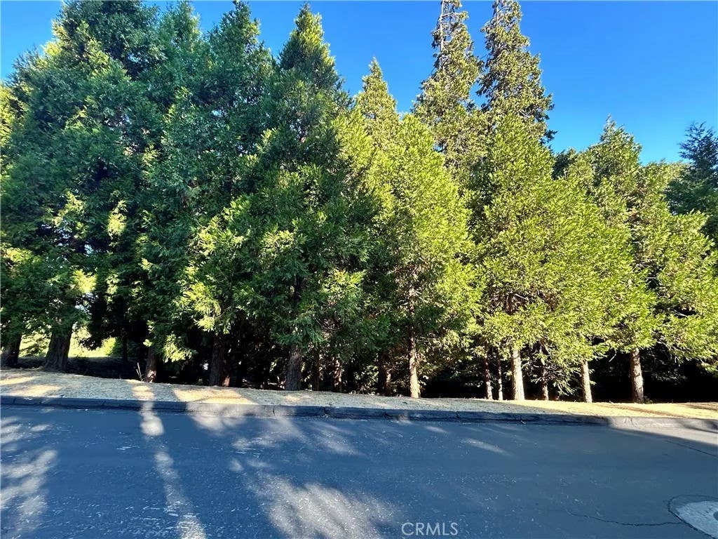 Photo of 28980 White Dove Ln, Lake Arrowhead, CA 92352 (MLS # IG26179203)