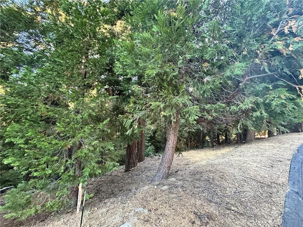 Photo of 28980 White Dove Ln, Lake Arrowhead, CA 92352 (MLS # IG26179203)
