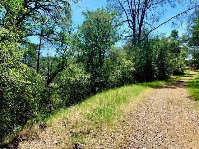 Photo of 7268 Shasta ST, Nice, CA 95464 (MLS # LC26103762)
