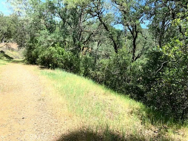 7268 Shasta