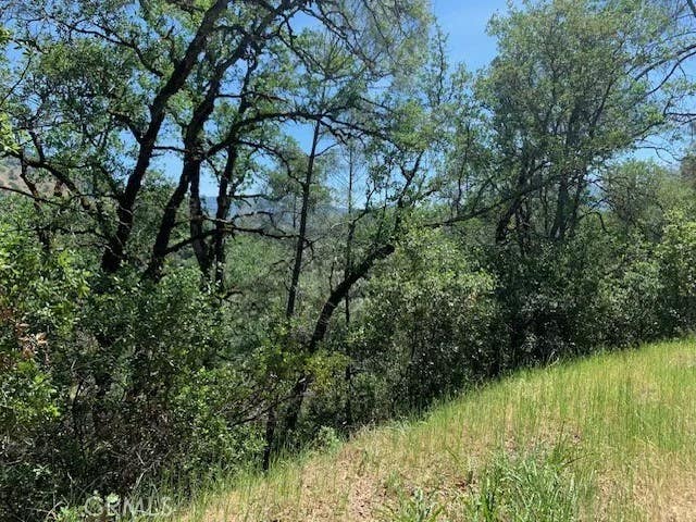 Photo of 7268 Shasta ST, Nice, CA 95464 (MLS # LC26103762)