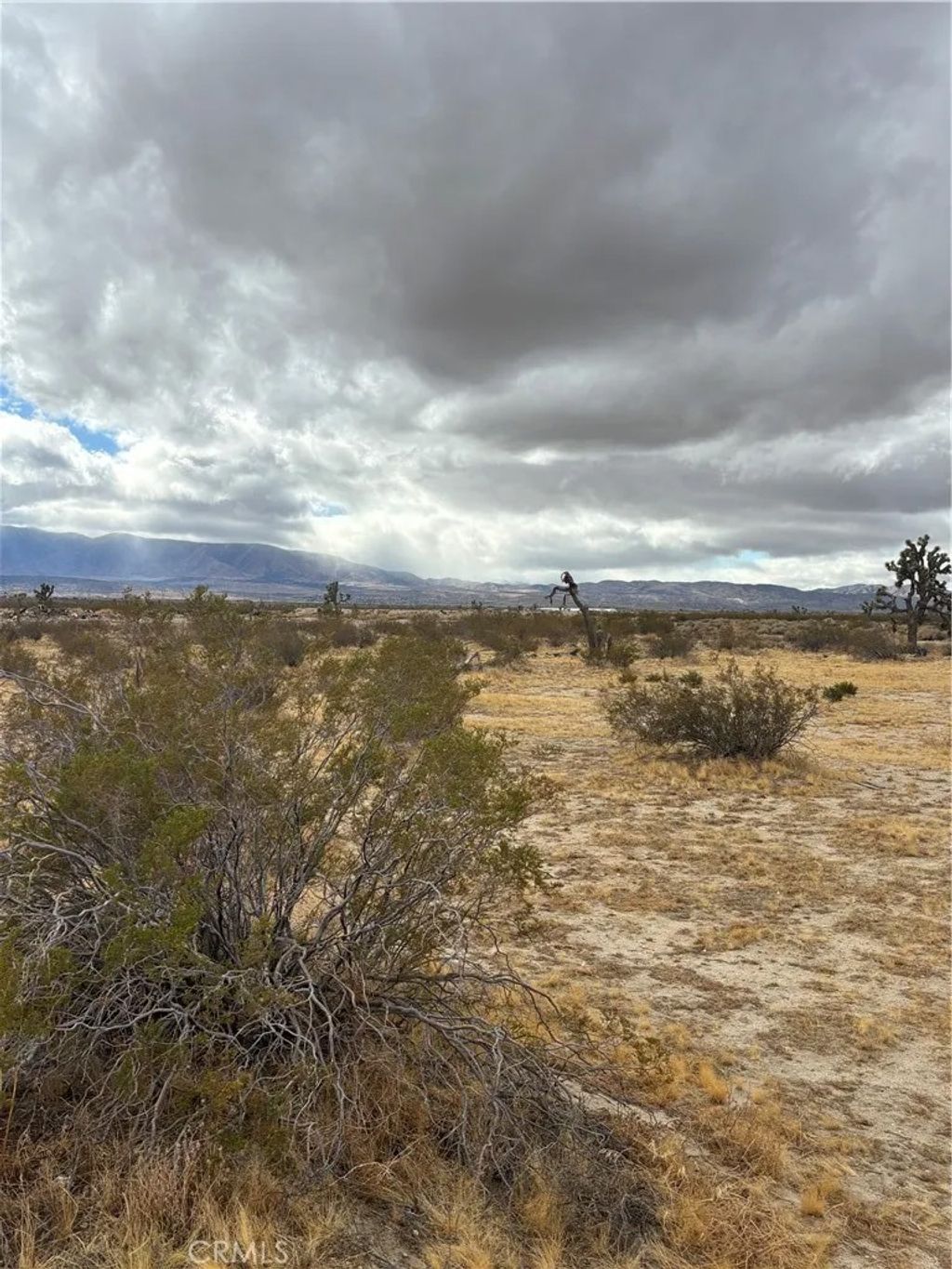 Photo of 165 E Avenue S, Palmdale, CA 93591 (MLS # SR26078486)