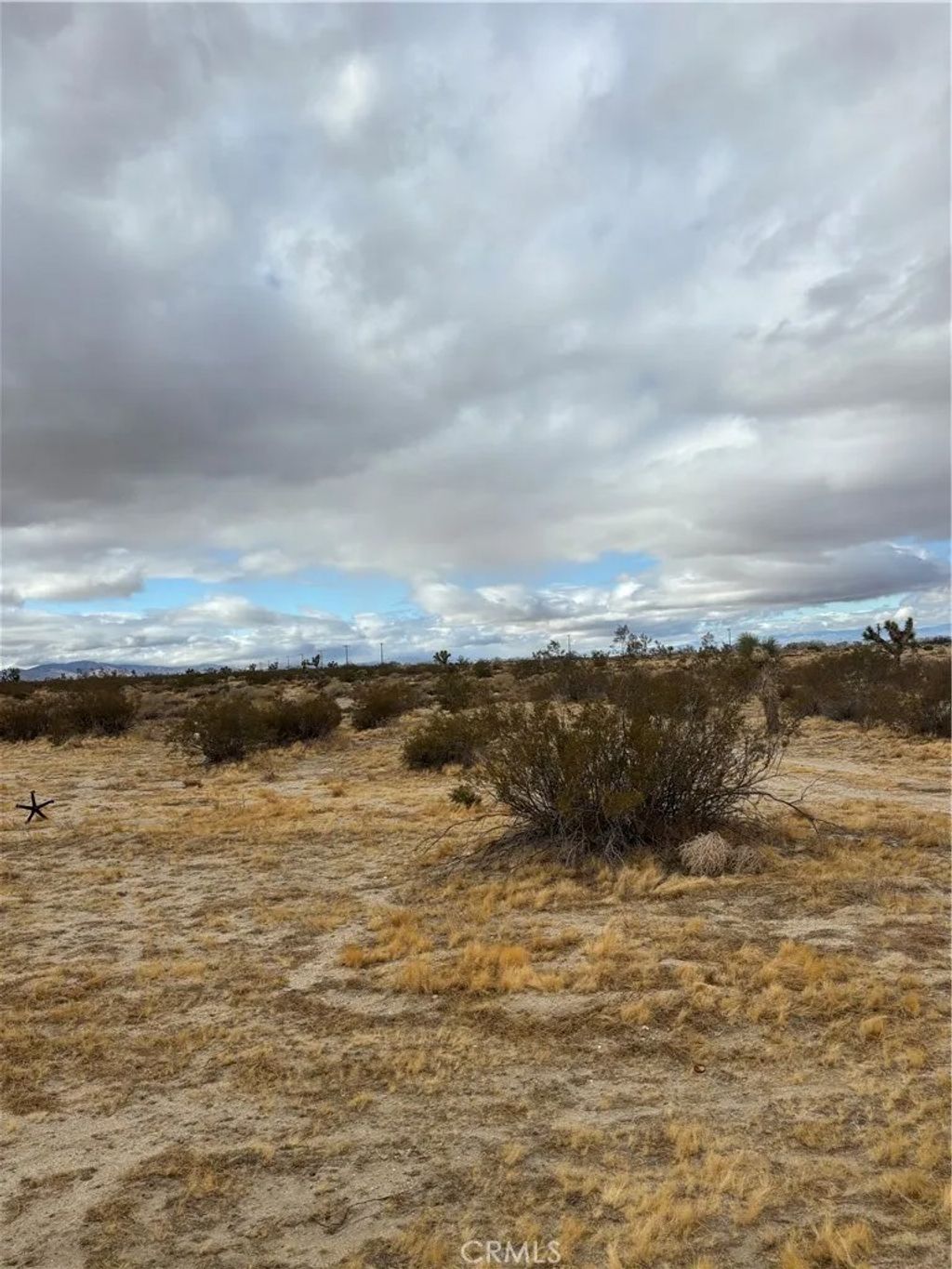 Photo of 165 E Avenue S, Palmdale, CA 93591 (MLS # SR26078486)