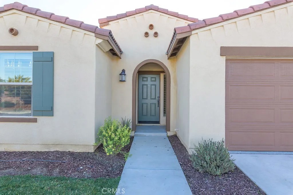 29173 Black Oak