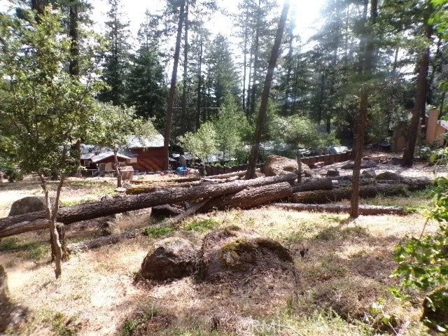 8020 Soda Bay