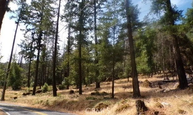 8020 Soda Bay