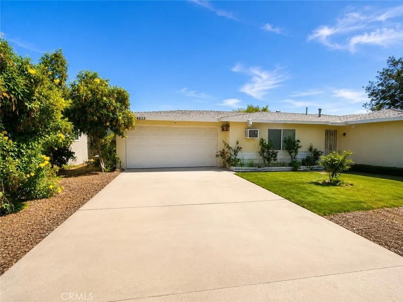 24655 Eucalyptus