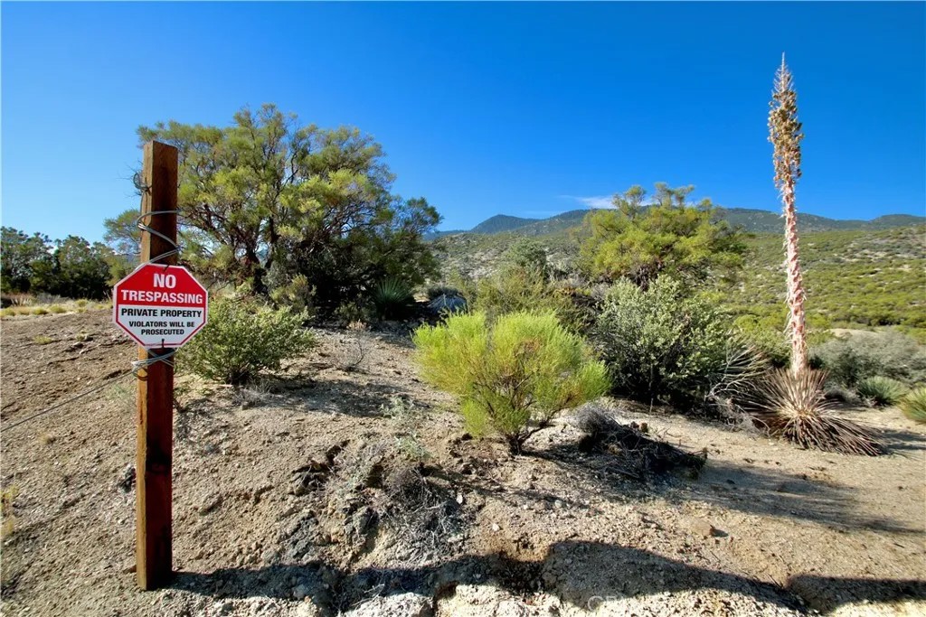 75230 Palm Canyon
