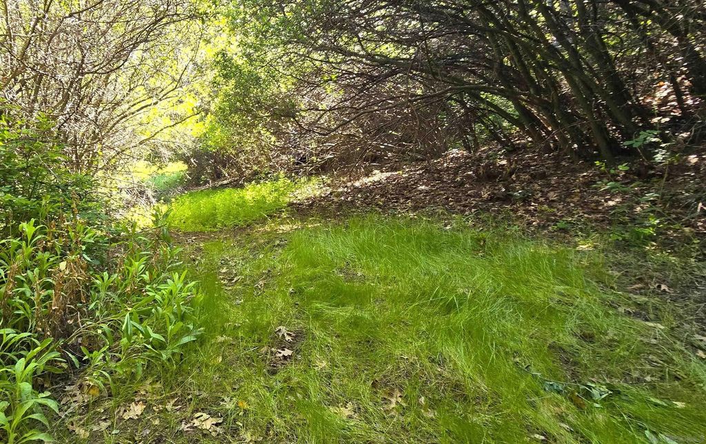 Photo of 38 Creek Rd, Julian, CA 92036 (MLS # 260009665)