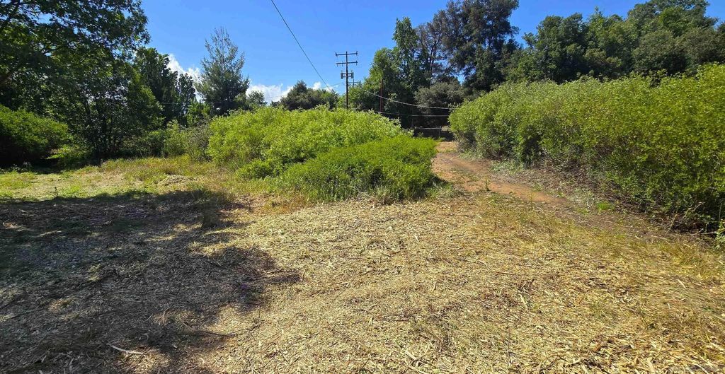 Photo of 38 Creek Rd, Julian, CA 92036 (MLS # 260009665)