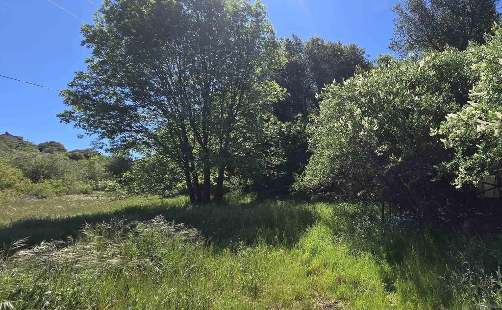 Photo of 38 Creek Rd, Julian, CA 92036 (MLS # 260009665)