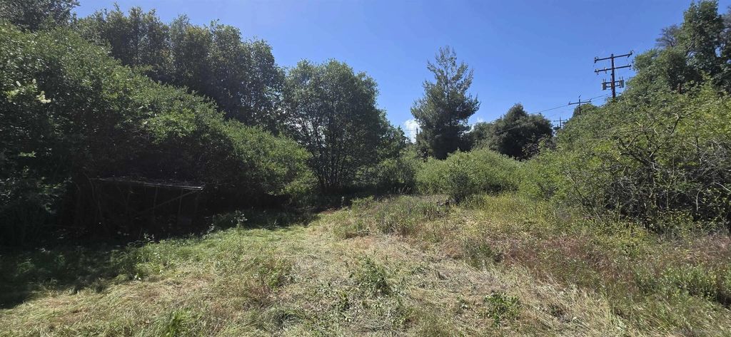 Photo of 38 Creek Rd, Julian, CA 92036 (MLS # 260009665)