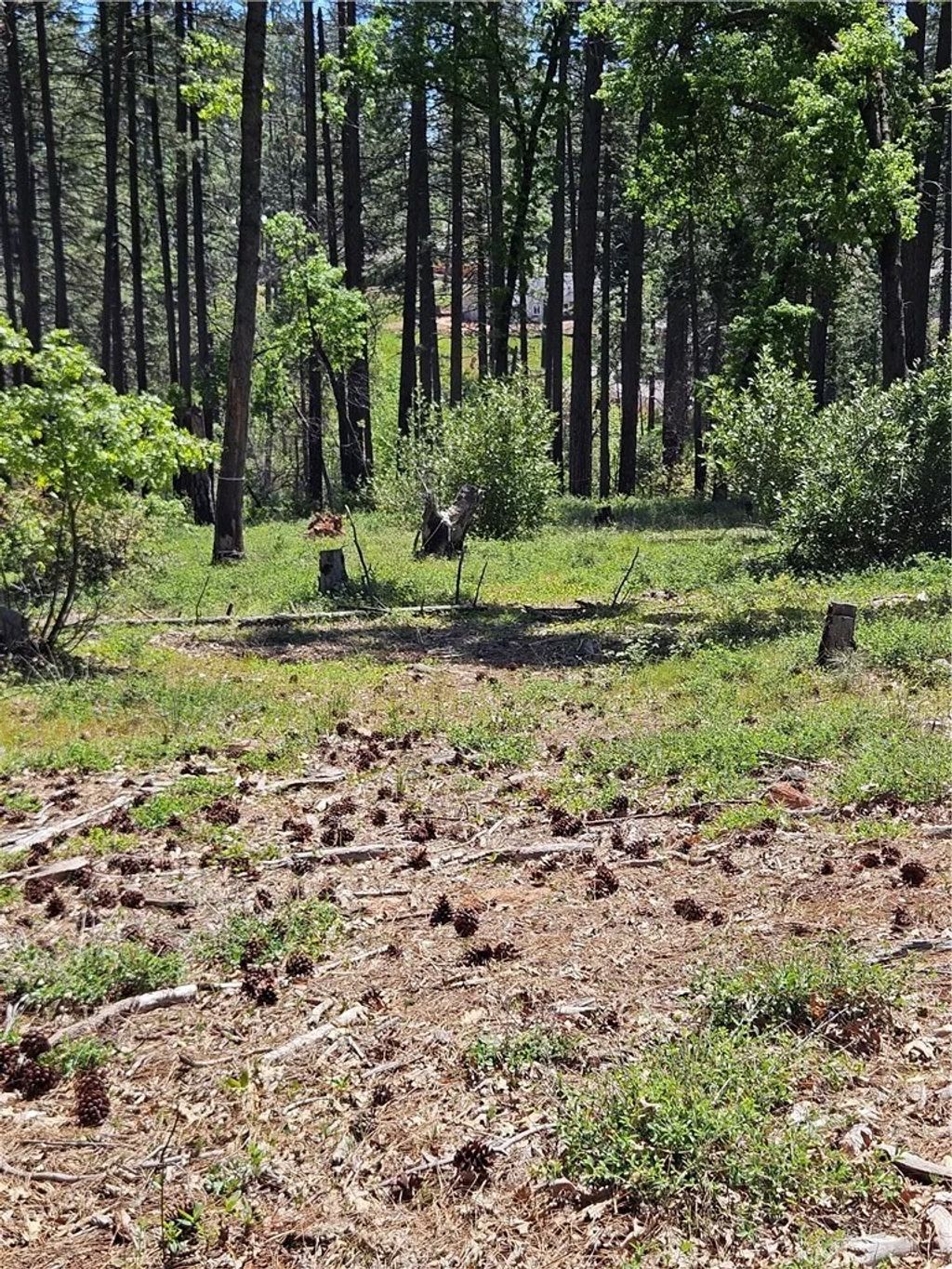 Photo of 0 Boeta, Paradise, CA 95969 (MLS # PA26005953)