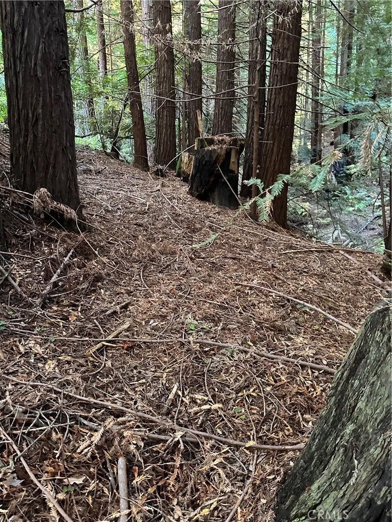 Photo of 0 Palo Colorado, Monterey, CA 93940 (MLS # PI26217258)