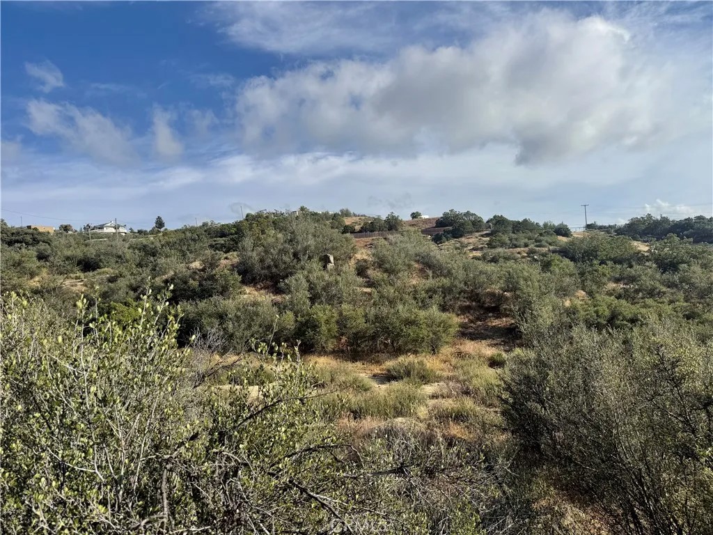 50750 Anzanita