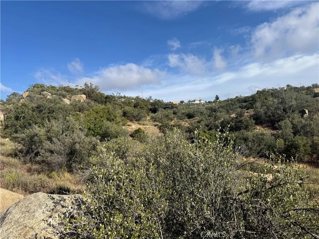 50750 Anzanita
