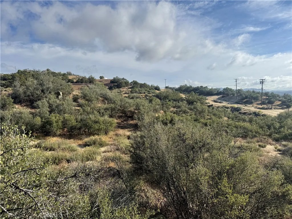 50750 Anzanita