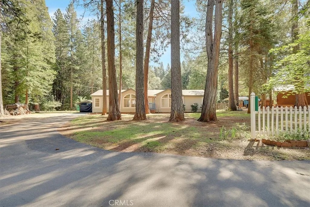 138 Big Fir