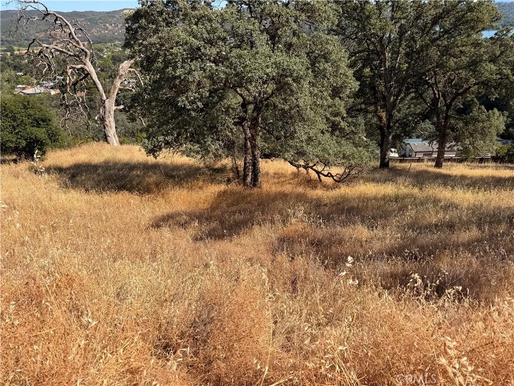 12657 Mountain View