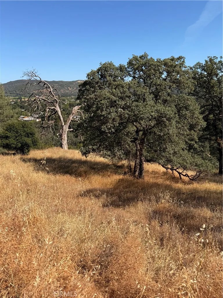 12657 Mountain View