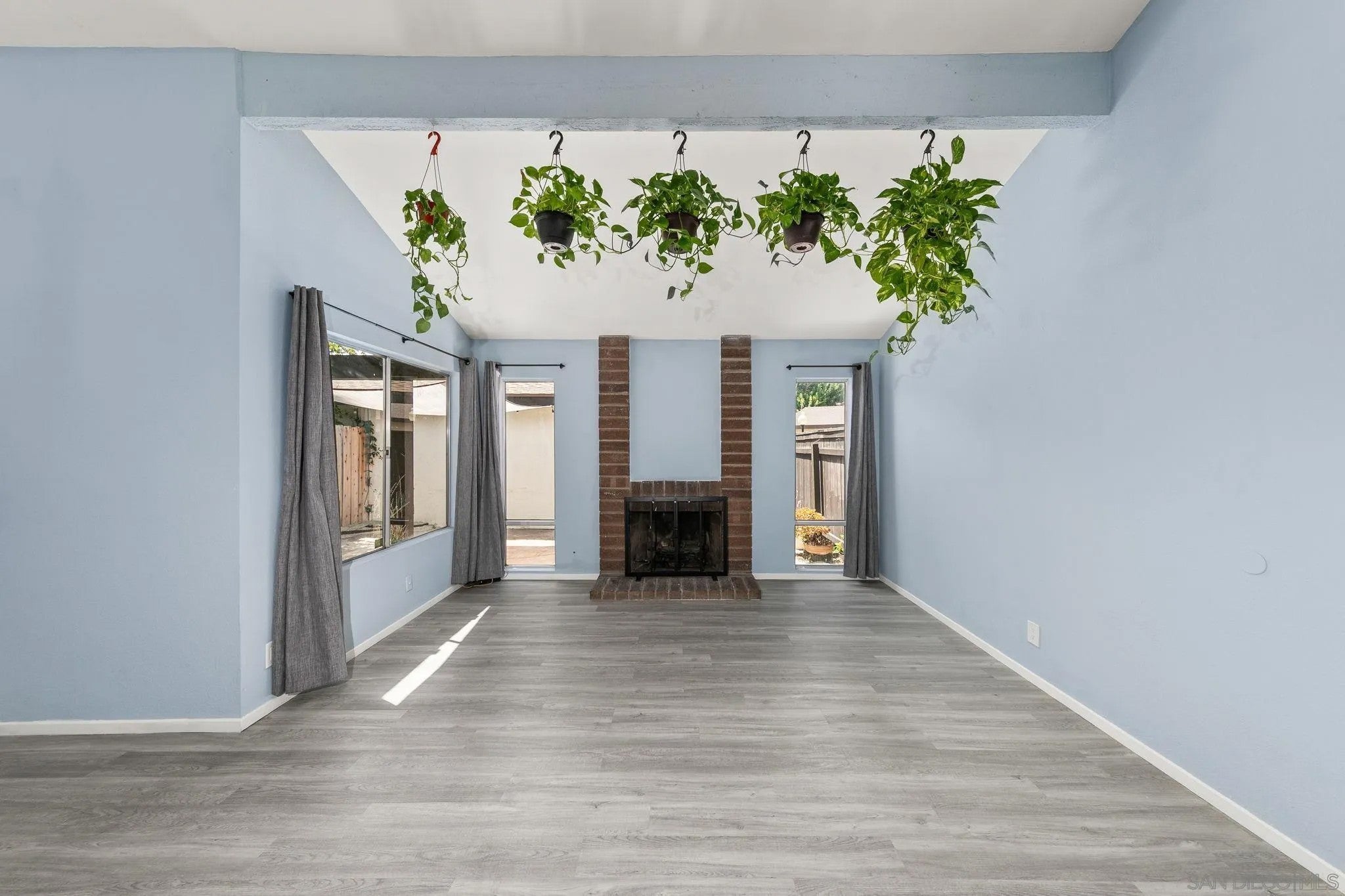 2147 Citrus Tree