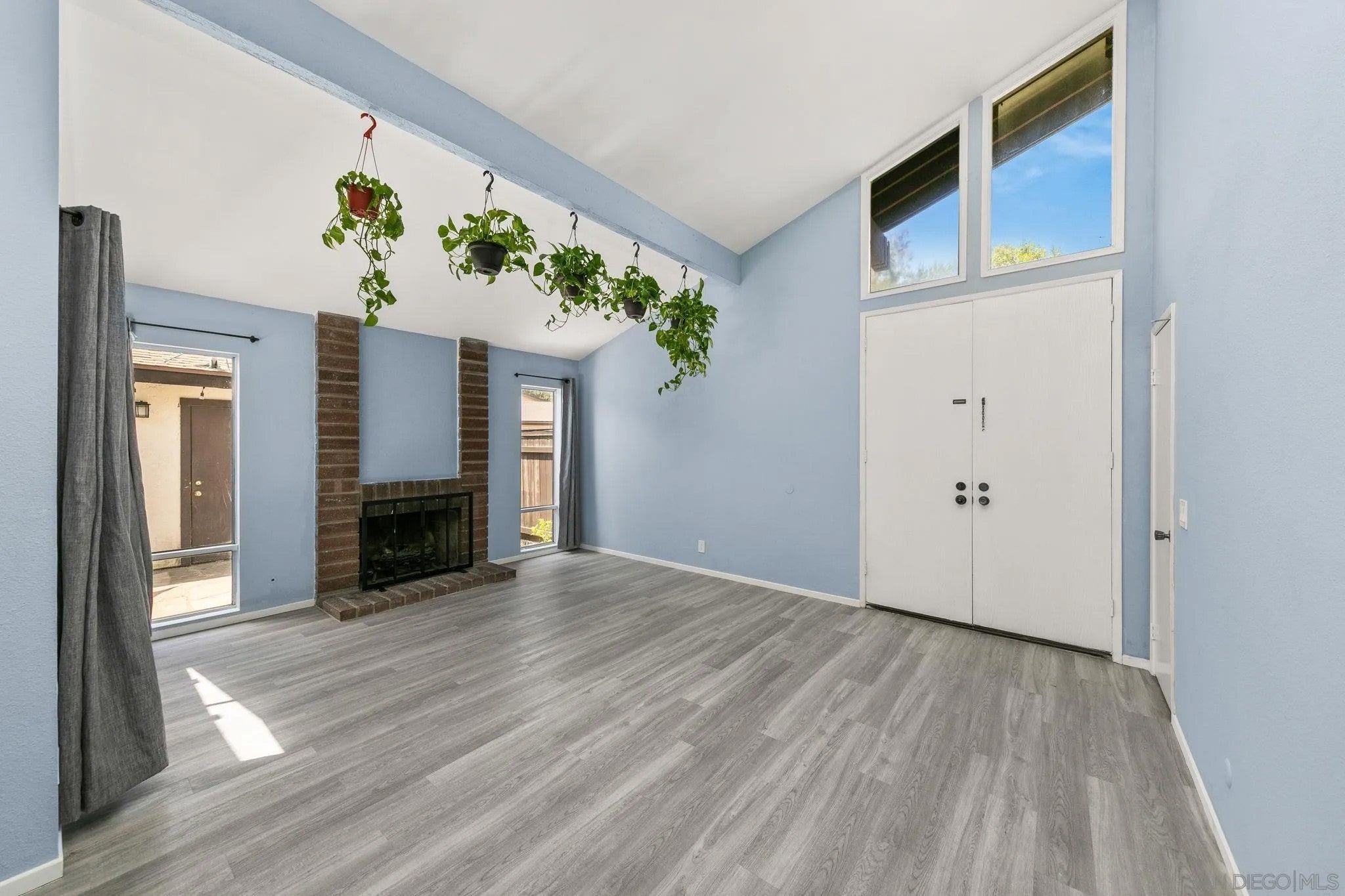 2147 Citrus Tree