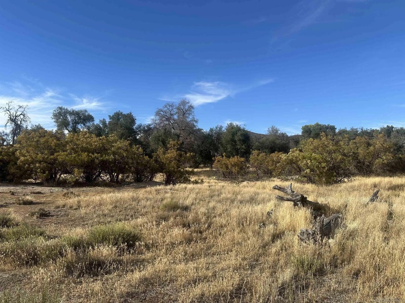 30006 Chihuahua Valley 2
