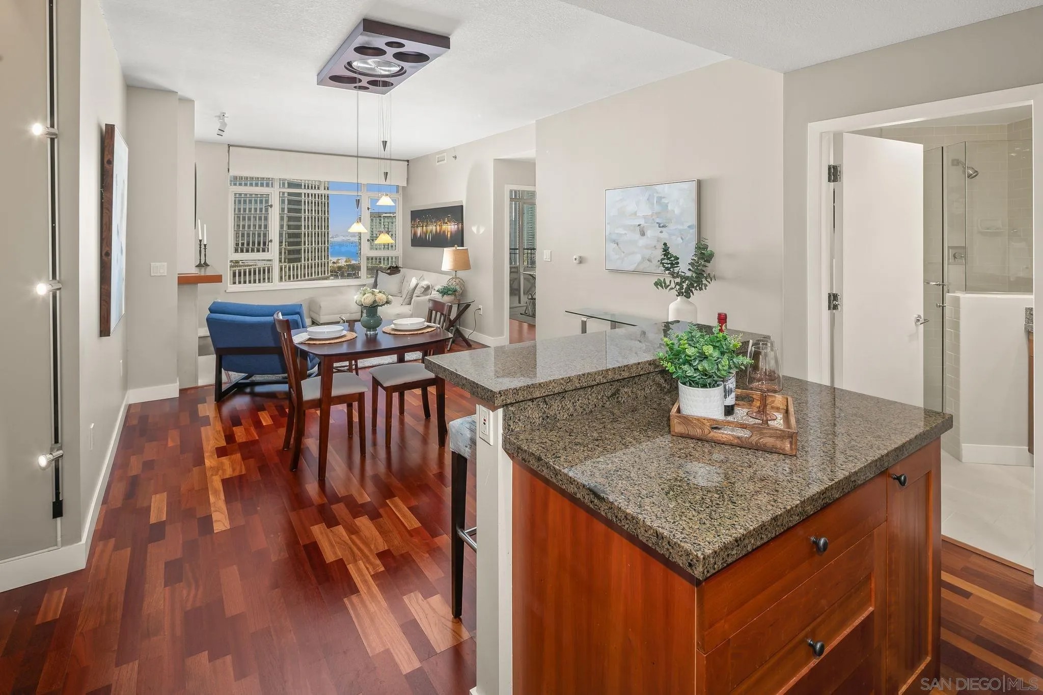 700 W Harbor 1506