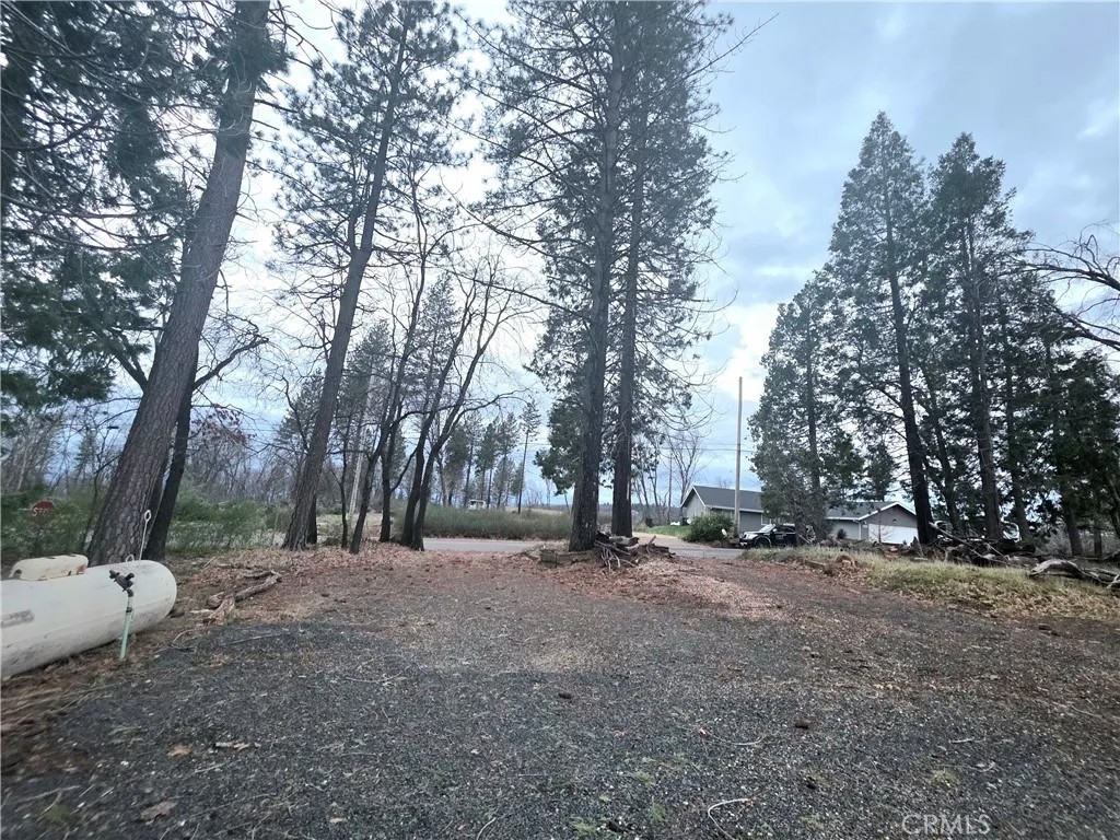 13534 West Park
