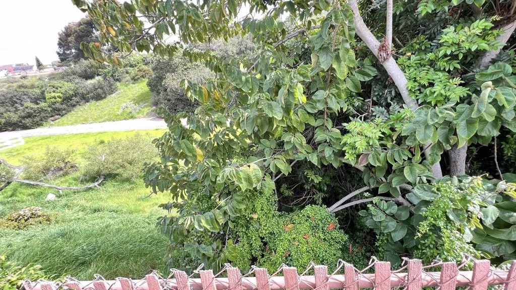 1735 Plaza Crest Ridge Road