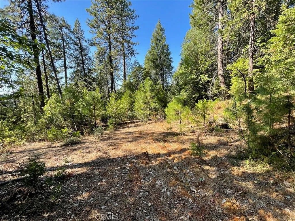Photo of 0 Forbestown, Challenge, CA 95925 (MLS # OR25273567)