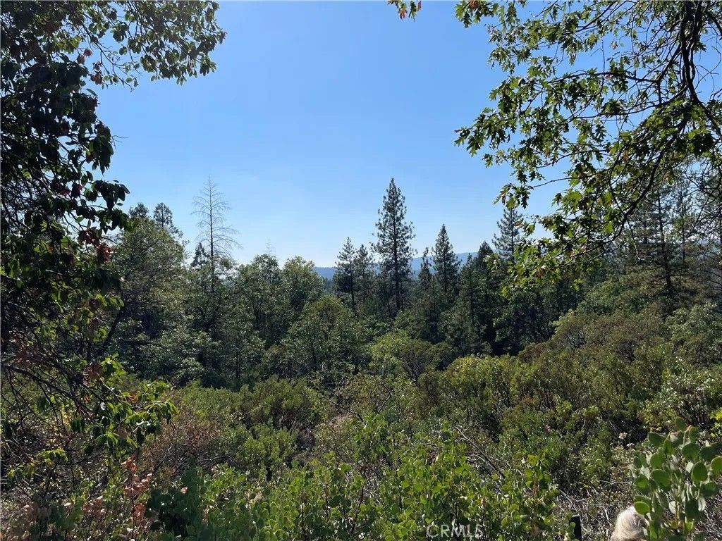 Photo of 0 Forbestown, Challenge, CA 95925 (MLS # OR25273567)