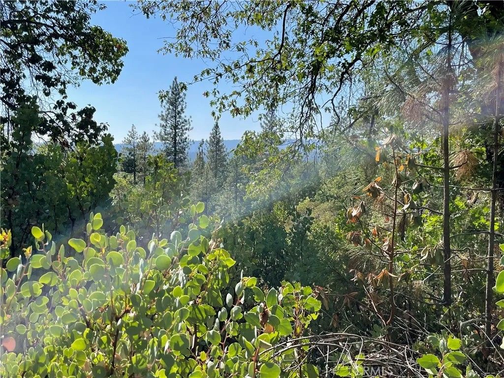 Photo of 0 Forbestown, Challenge, CA 95925 (MLS # OR25273567)