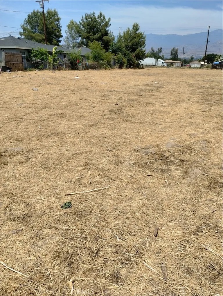 26054 Cypress